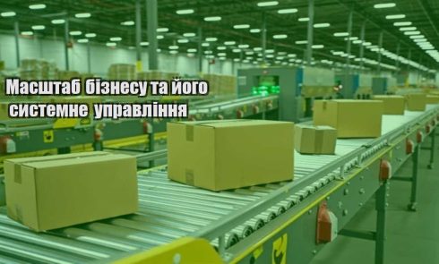 masshtab biznesu ta jogo systemne upravlinnya